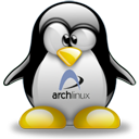 Penguin pingouin pinguino 317